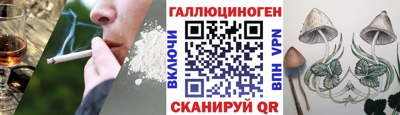 KRAKEN ТОР  Сольвычегодск  Галлюциногенные грибы ЛСД 